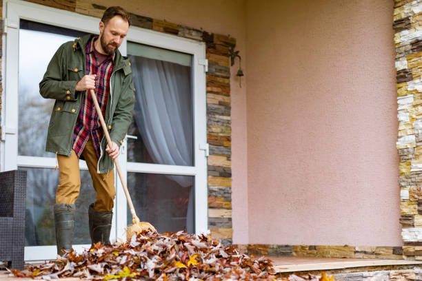 Yard Cleanup Services in Harper Woods, MI